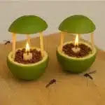 Keep Bugs at Bay: DIY Mosquito Repellent Candle with Lime 5 Homemade mosquito repellent candles made with green fruit shells, small candles, and beans, surrounded by mosquitoes.
