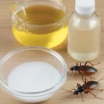 Homemade Cockroach & Ant Killer That Actually Works 3 A DIY natural insect repellent featuring a spray bottle, vinegar, oil, and baking soda, shown alongside a cockroach and ant—an eco-friendly and chemical-free solution to common household pests.